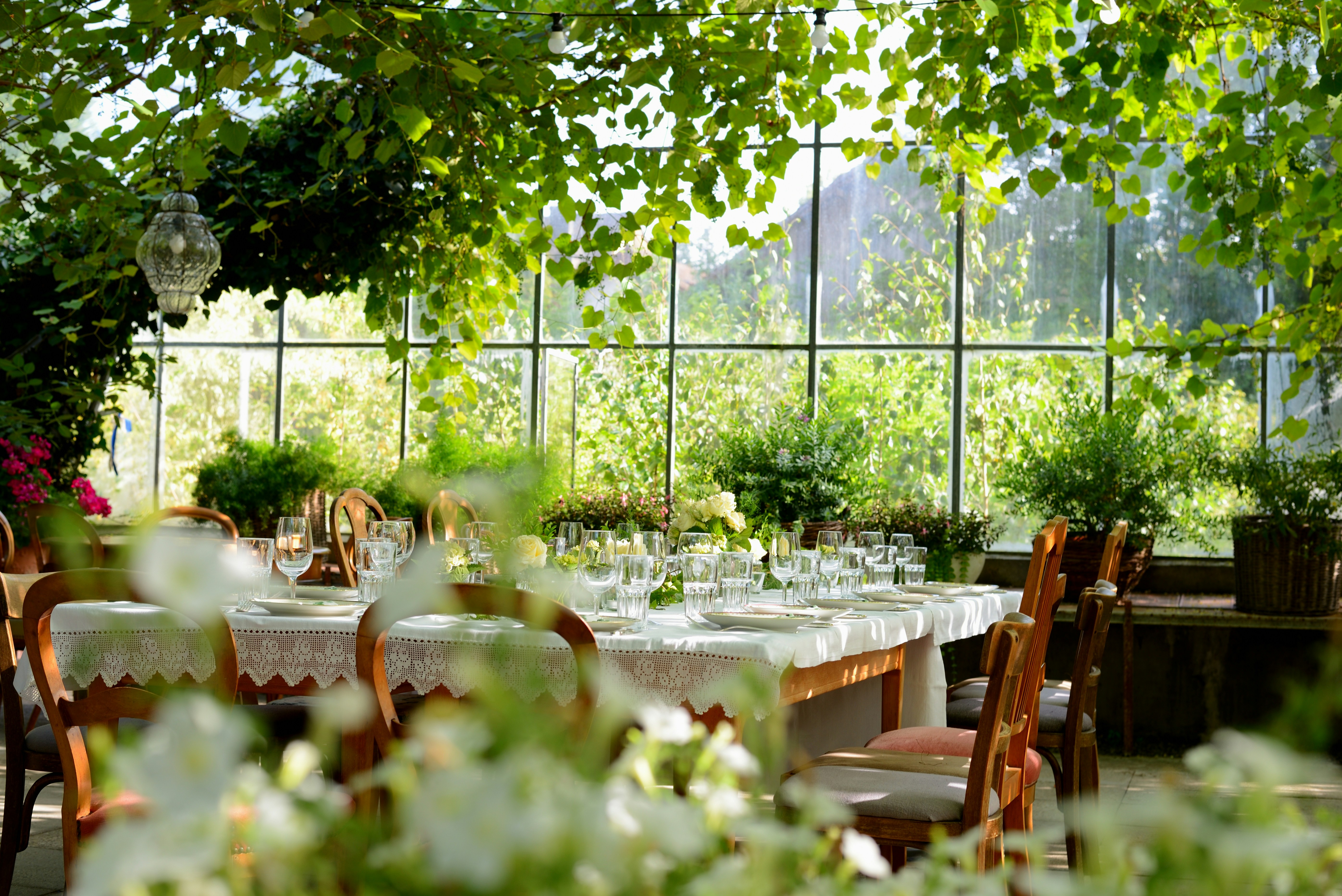 5:10pm — the garden